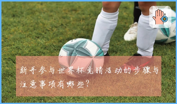 新手参与世界杯竞猜活动的步骤与注意事项有哪些？