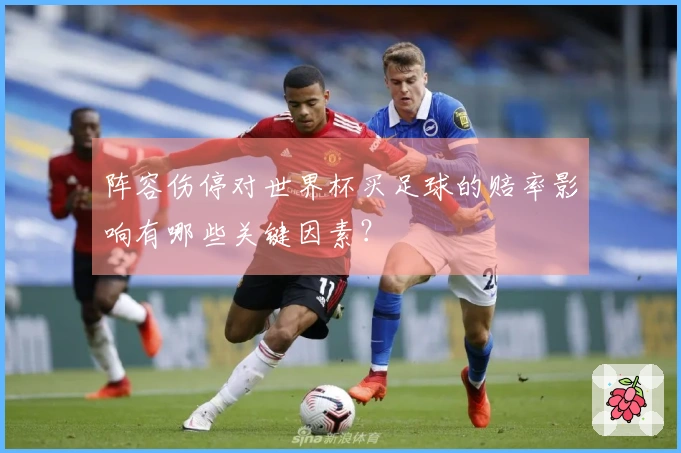 阵容伤停对世界杯买足球的赔率影响有哪些关键因素？